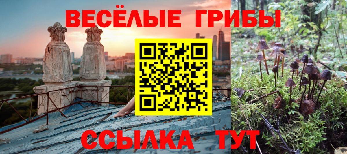 Галлюциногенные грибы мухоморы Нальчик