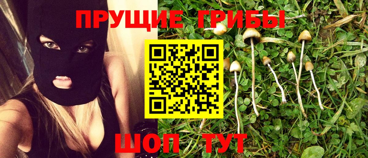 Нальчик  Галлюциногенные грибы MAGIC MUSHROOMS  Вход с VPN 